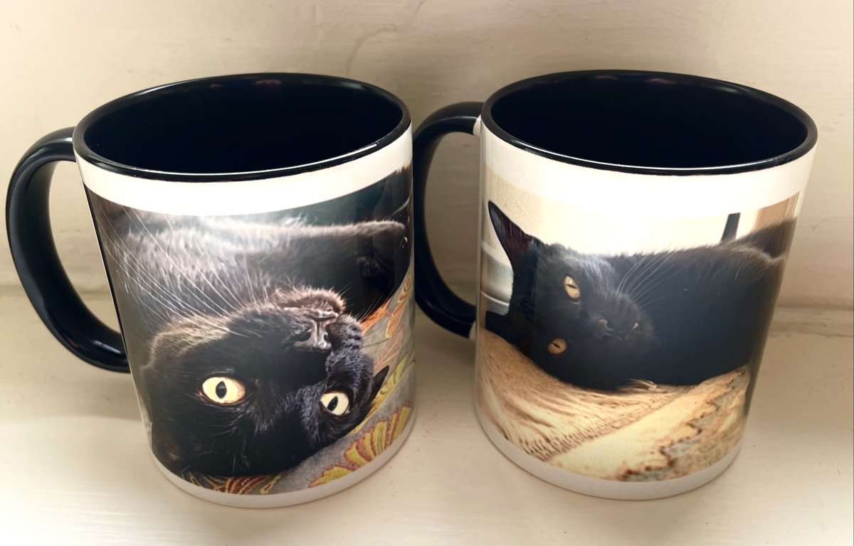 OliveMeetsWorld's tweet photo. Anyone else having this problem? A human snapping photos of you while you're trying to nap, slapping them on quality merchandise, and threatening to sell it on eBay? I go to sleep in good faith. What is WRONG with him? https://t.co/D9ZZ0oWnXf