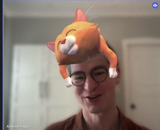 Friday standups sometimes get a little weird when the google visual effects come out 😸 . Great work this week. Ready for the weekend. 🌴