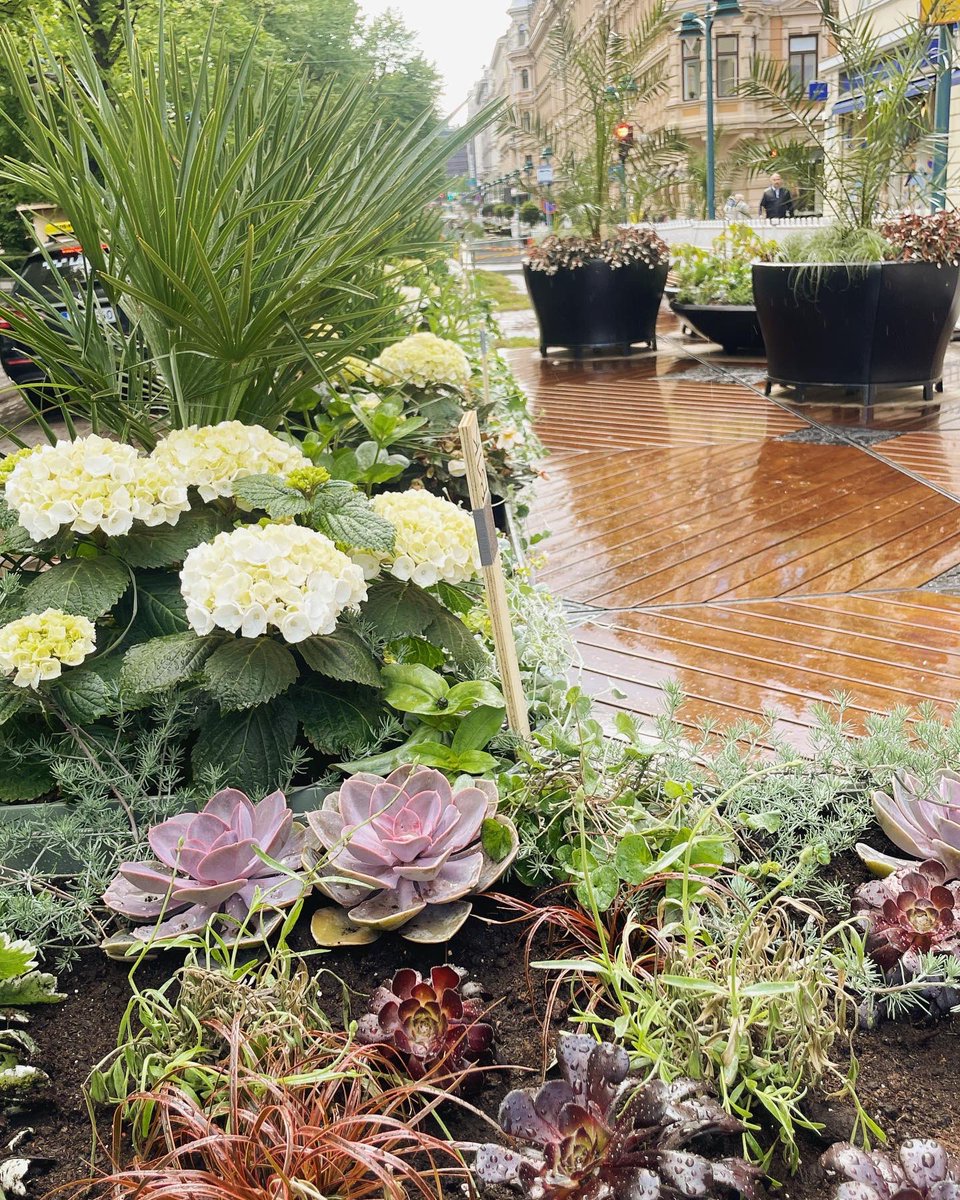 Hannu Oskala tweet media