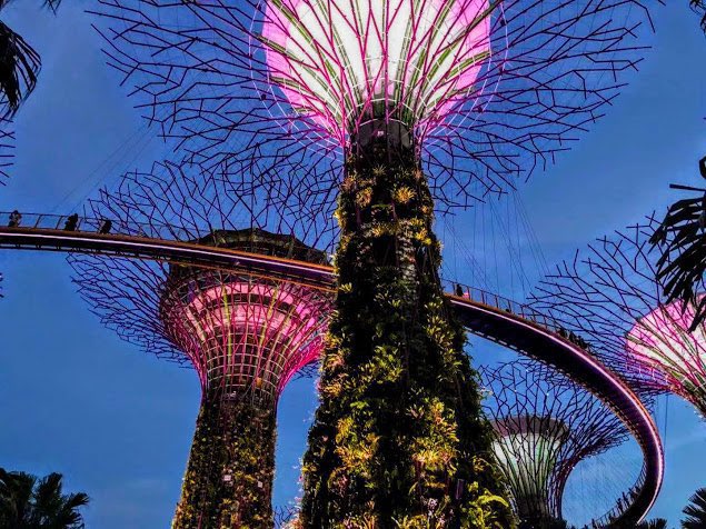 BLOG

SINGAPORE

bit.ly/3VDCwl2 

bit.ly/3VHjiej 

bit.ly/3VHlLoQ 

bit.ly/3FdUZ0B 

#Singapore #Asia #WorldCity #Chinatown #KampongGlam #GardensByTheBay #Blog #Travel #FortCanningHill #HawkerCentre #LittleIndia