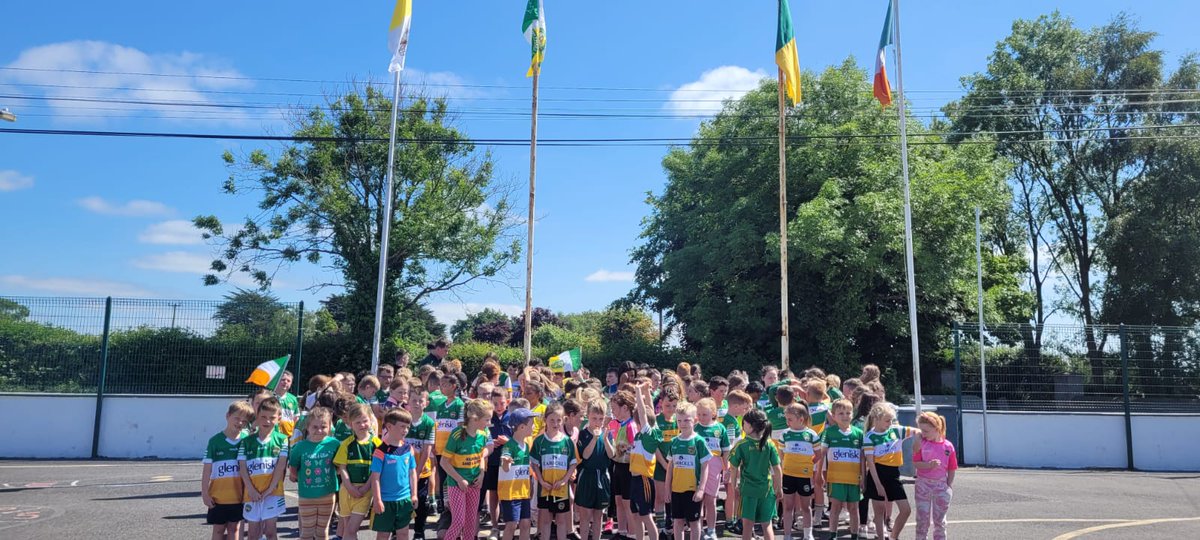 Offaly Cumann Na mBunscol tweet media