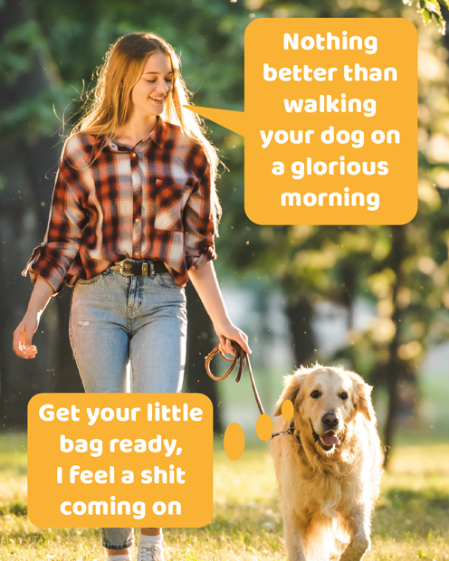 ComedyCardCo's tweet photo. Poo bag at the ready

One of many silly new cards at Comedy Card Company

https://t.co/o6bL0EGxhr

#funny #dog #greetingcard https://t.co/gBDFpwNlGj