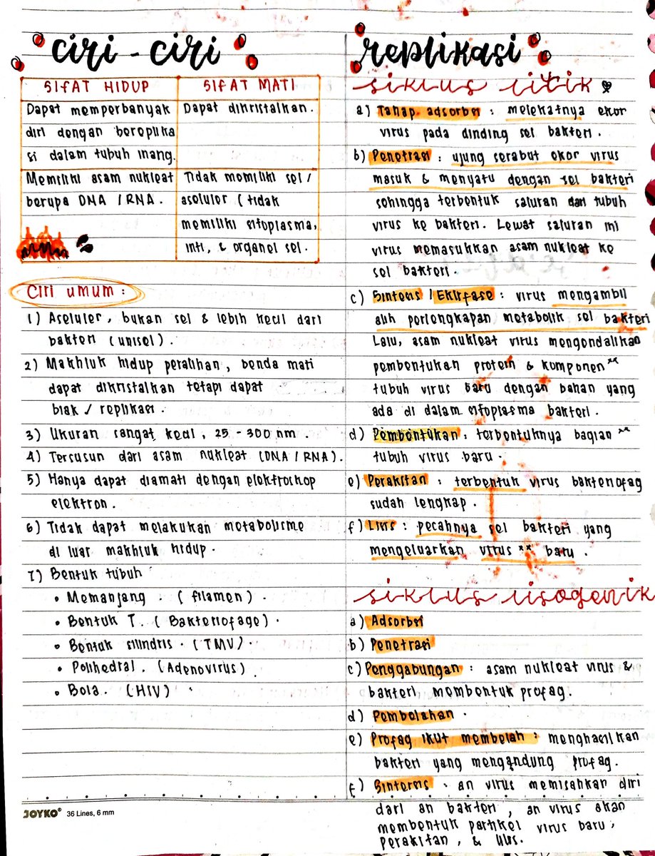 fairytars's tweet photo. ꒰ ֪ ៶៲៸ catatan materi biologi kelas 10 ❨𖥻💌❩ 
♡ — virus — ♡ https://t.co/vWpSc5kNtz