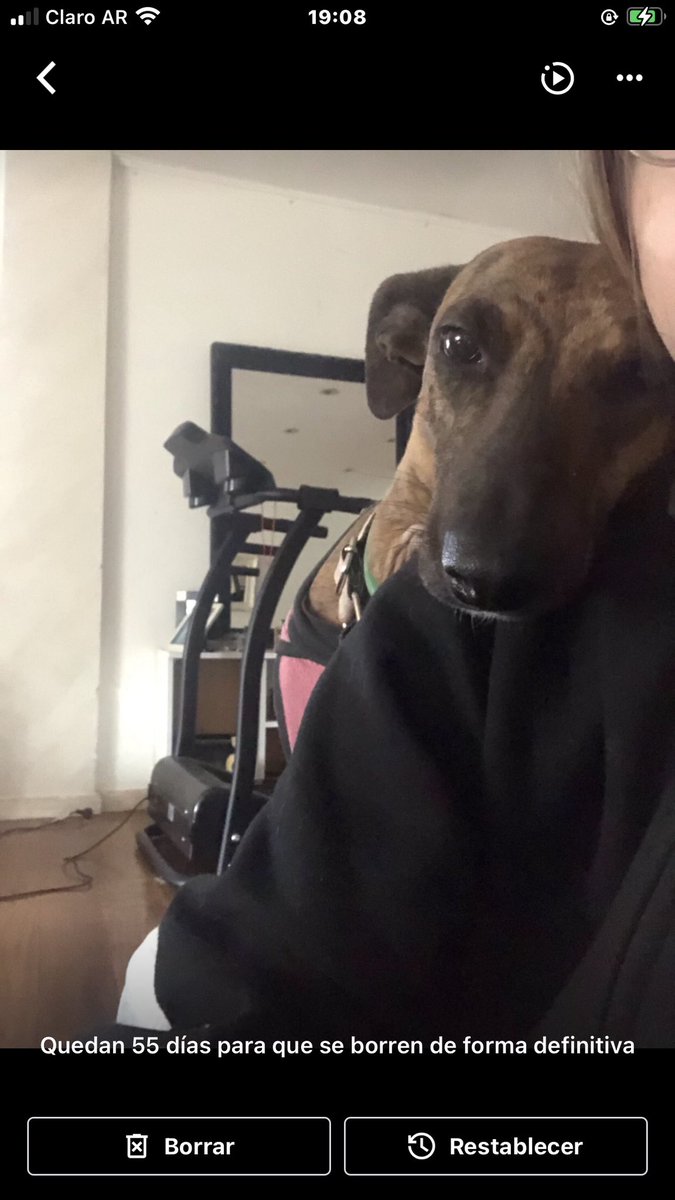 adri15340071's tweet image. A un mes de Adoptarla !! 💝💝 Son Amor Puro 💝