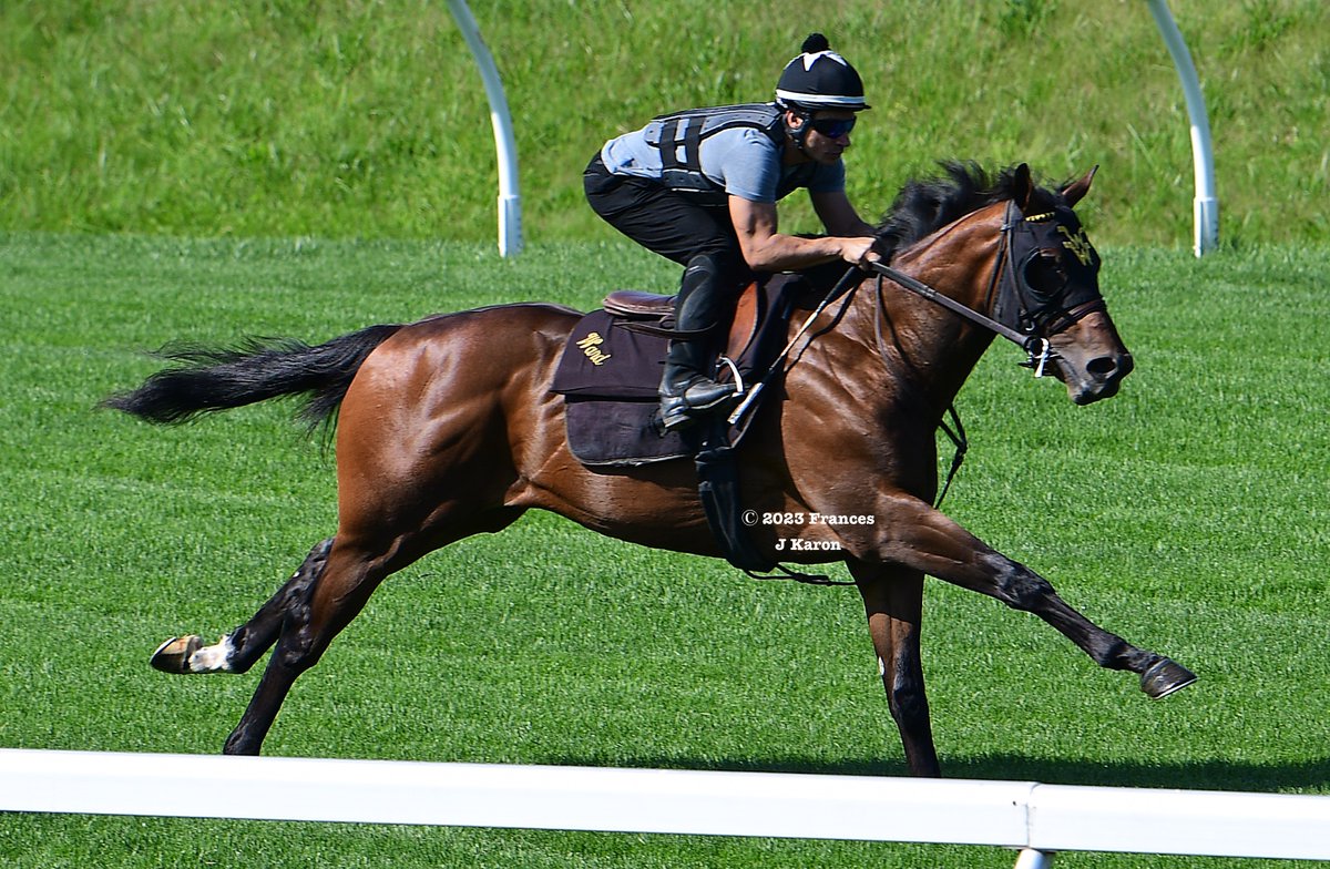 Trainer Magazine on Twitter: