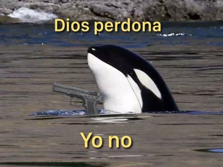 Dannitzita's tweet photo. @otonista Capibaras y Orcas unidas https://t.co/Tk0L7rPGal
