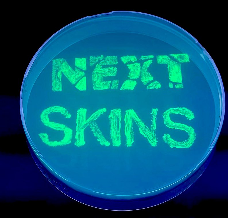 NextSkinsELMs (@nextskinselms) on Twitter photo Project member Salla Koskela from Aalto University created this wonderfully fluorescent version of our NextSkins logo in the lab. Salla made the text by placing a printed NextSkins logo under the agar plate and then spread GFP-expressing E. Coli with inoculation loop. Project member Salla Koskela from Aalto University created this wonderfully fluorescent version of our NextSkins logo in the lab. Salla made the text by placing a printed NextSkins logo under the agar plate and then spread GFP-expressing E. Coli with inoculation loop.