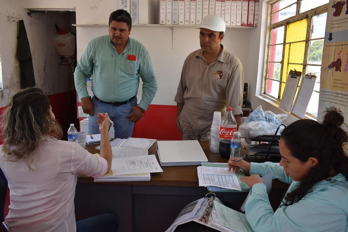 cefpphidalgo's tweet image. Supervisión en el Rastro Municipal de Zacualtipán de Ángeles, por parte del grupo revisor de SENASICA y APHIS-USDA durante de la visita de pre-certificación para la región con clasificación nivel III en el estado de Hidalgo en la Campaña Nacional contra la Tuberculosis Bovina