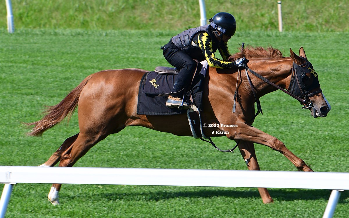 Trainer Magazine on Twitter: