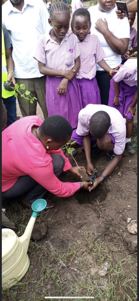 achiengemmily's tweet photo. Small acts when mutiplied by millions of people , can transform the world, all we have to do is to wake up and change. Tree seedlings planting at pentrose primary school , Nyali constituency was fruitful where it was planted all over the school compound.
#climatechange
#jazamiti https://t.co/xAy5LAoaZn