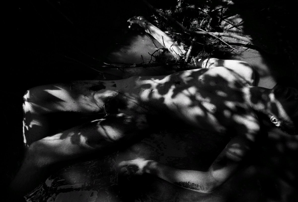 Anna_Block tweet media