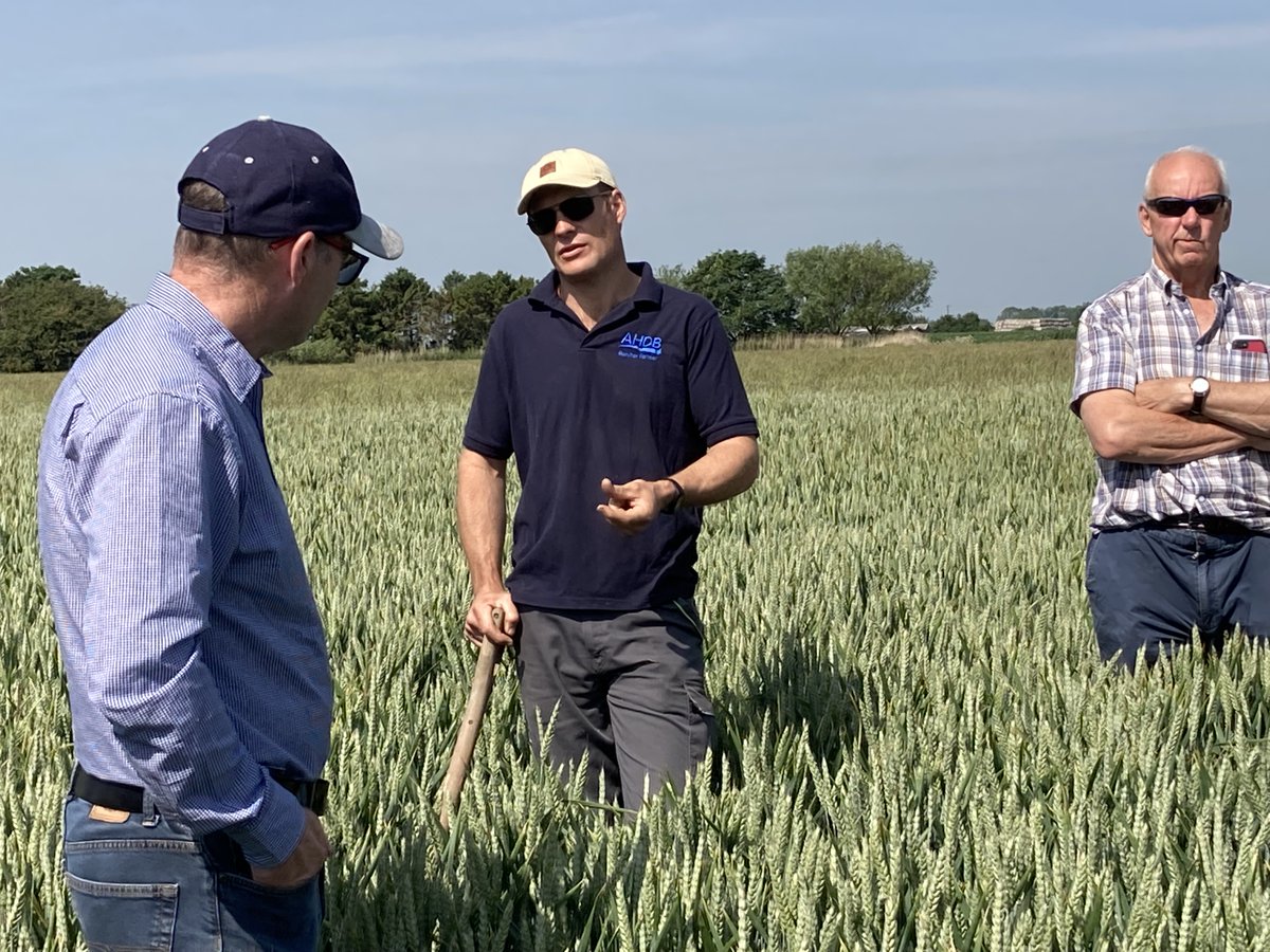 Judith Stafford tweet media