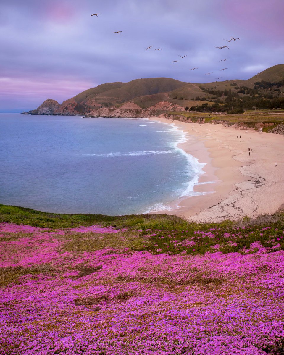 SSVHD's tweet image. Never disappoints! @VisitCA