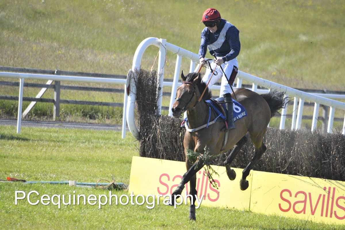 Top Line Tommy trained by ⁦<a href="/EdwardJOGrady/">Edward J O'Grady</a>⁩ is a winner at Tramore 2/6/23