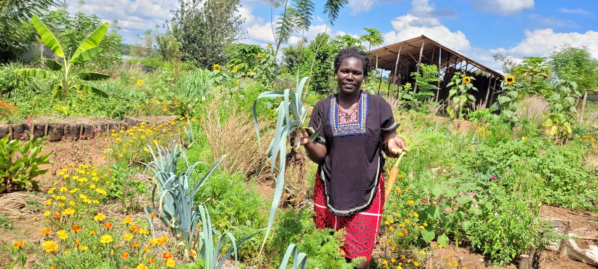misterjones2u's tweet photo. Permaculture garden, Bugesera, Rwanda. Stella from #Sector39 visiting from Uganda. @RNibagwire, @PermacultureRw @BarnabeMukeza https://t.co/avqHDxetxH