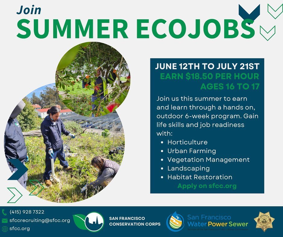 Join us for our upcoming 2023 EcoJobs Summer Program for youth ages 16 to 17 from June 12th to July 21st.
This program allows youth to earn and learn through a 6-week summer program that provides horticultural training.