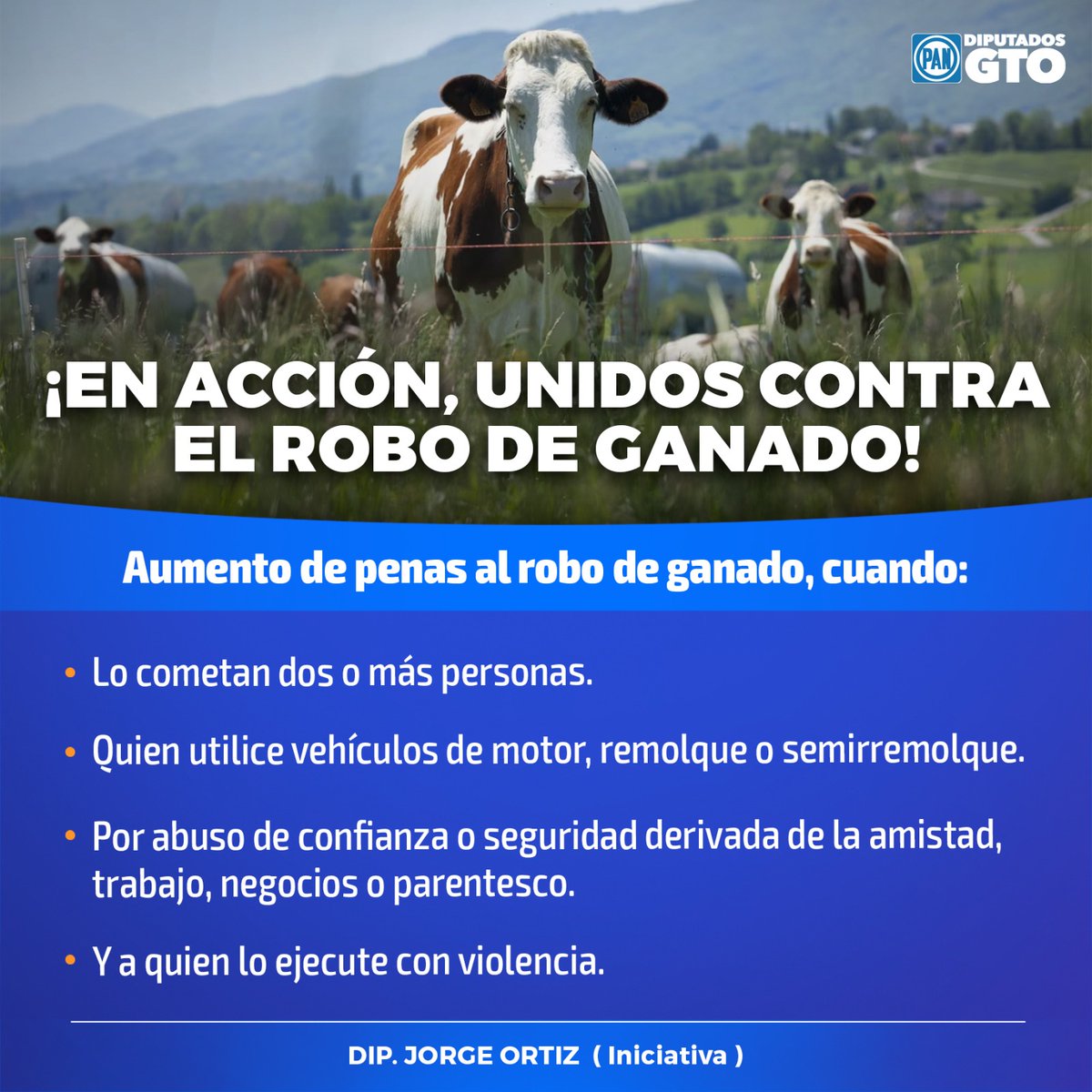 🔵🚨🟣 ¡CUÉNTAME MÁS!  

En el GPPAN protegemos a las y los ganaderos y fomentamos la legalidad y la transparencia en la comercialización del ganado y sus derivados. #SomosAccion 
#Noticias