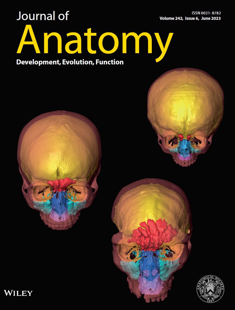 Mehran Moazen (@mehran_moazen) on Twitter photo We (Buzi et al.) have developed an #opensource code, Icex to automatically segment/quantify #craniofacial cavities see <a href="/JournalofAnat/">Journal of Anatomy</a> - <a href="/Harvatilab_tue/">The Harvati lab at University of Tübingen</a> <a href="/RH_Khonsari/">Roman Hossein Khonsari</a> <a href="/moazenlab/">Moazen Lab</a> <a href="/Liang_ce96/">Ce Liang</a> <a href="/AntProfico/">Antonio Profico</a> & O'Higgins funded by <a href="/MSCActions/">Marie Skłodowska-Curie Actions</a> <a href="/ERC_Research/">European Research Council (ERC)</a> <a href="/EPSRC/">Engineering and Physical Sciences Research Council</a> onlinelibrary.wiley.com/doi/10.1111/jo… We (Buzi et al.) have developed an #opensource code, Icex to automatically segment/quantify #craniofacial cavities see <a href="/JournalofAnat/">Journal of Anatomy</a> - <a href="/Harvatilab_tue/">The Harvati lab at University of Tübingen</a> <a href="/RH_Khonsari/">Roman Hossein Khonsari</a> <a href="/moazenlab/">Moazen Lab</a> <a href="/Liang_ce96/">Ce Liang</a> <a href="/AntProfico/">Antonio Profico</a> & O'Higgins funded by <a href="/MSCActions/">Marie Skłodowska-Curie Actions</a> <a href="/ERC_Research/">European Research Council (ERC)</a> <a href="/EPSRC/">Engineering and Physical Sciences Research Council</a> onlinelibrary.wiley.com/doi/10.1111/jo…