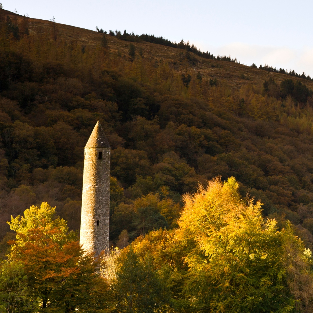 Golden light in an ancient place ✨

📍Glendalough, Wicklow 

Courtesy of Westbury 

#wildroverdaytours #wicklow #wicklowmountains #glendalough #ireland #travel