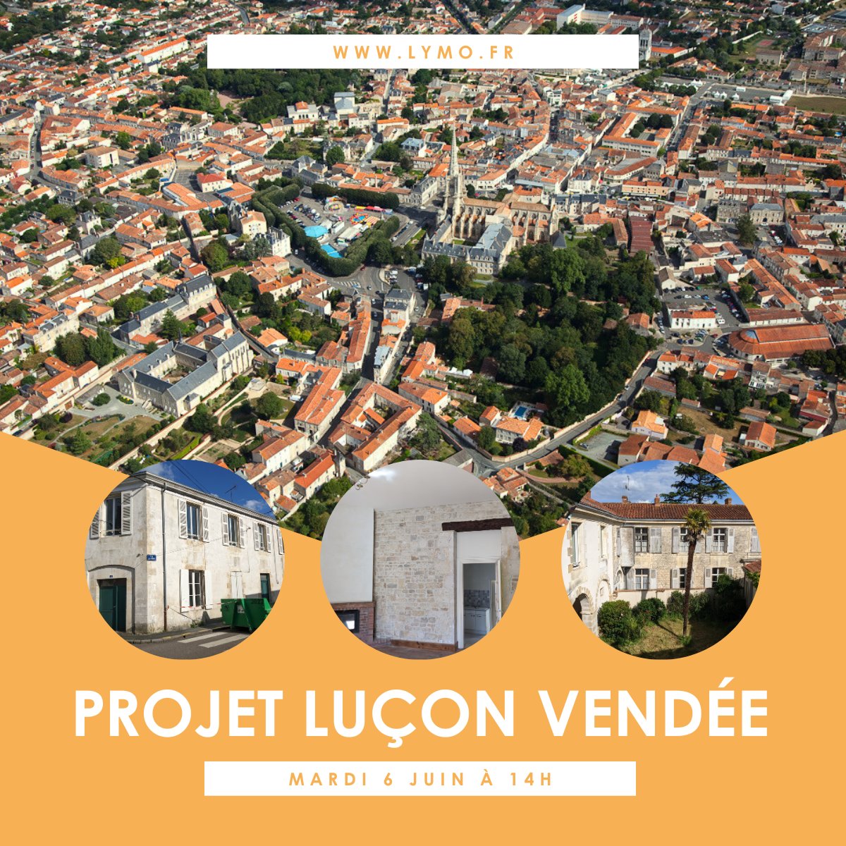 Lymo Home tweet media