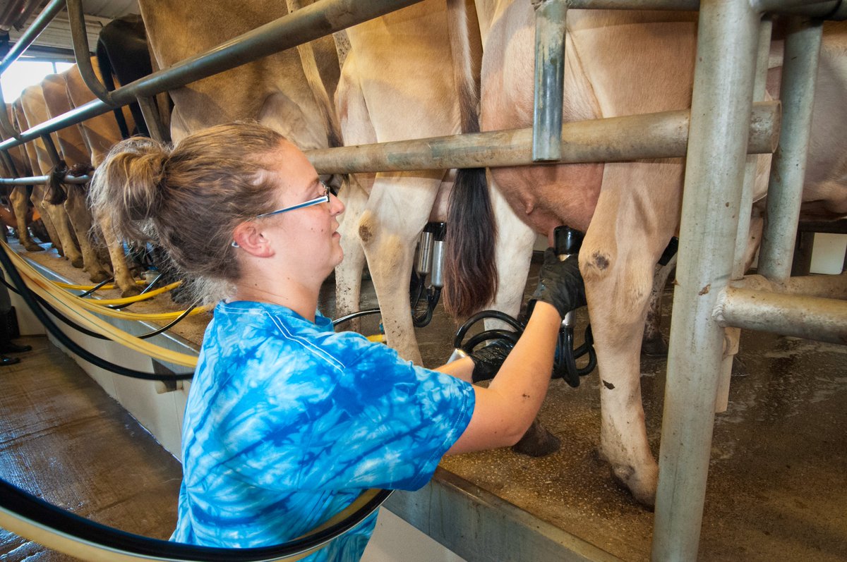 June is National Dairy Month! Dairy products are loved by many Americans for their delicious taste and high nutritional value. This month, let's show our appreciation for the farmers who work hard to bring milk, cheese, and other dairy products to our tables.