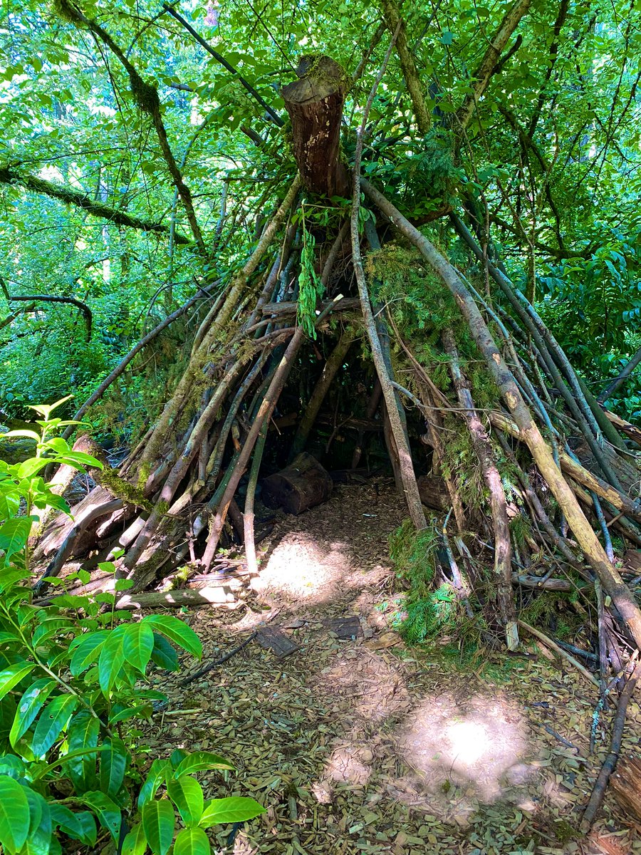karolines_quill's tweet photo. Who’s moving in with me?? 

#writingcommunity #nature https://t.co/wqv9EPdJmd