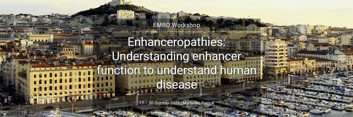 @AxelVisel.bsky.social tweet media