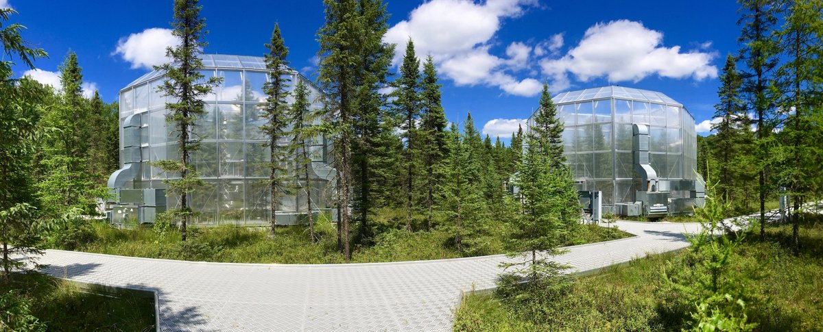 ORNLBio_Env's tweet image. It’s #WorldPeatlandsDay! In Minnesota, @ORNL scientists have been studying #peatlands at the @doescience SPRUCE project, where experimental chambers are giving scientists a peak at a warmer future and what it means for these #carbon-rich ecosystems. mnspruce.ornl.gov