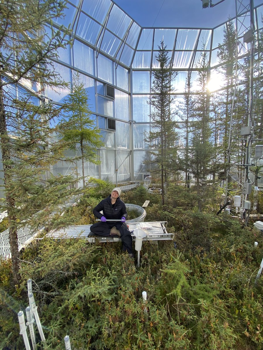 ORNLBio_Env's tweet image. It’s #WorldPeatlandsDay! In Minnesota, @ORNL scientists have been studying #peatlands at the @doescience SPRUCE project, where experimental chambers are giving scientists a peak at a warmer future and what it means for these #carbon-rich ecosystems. mnspruce.ornl.gov