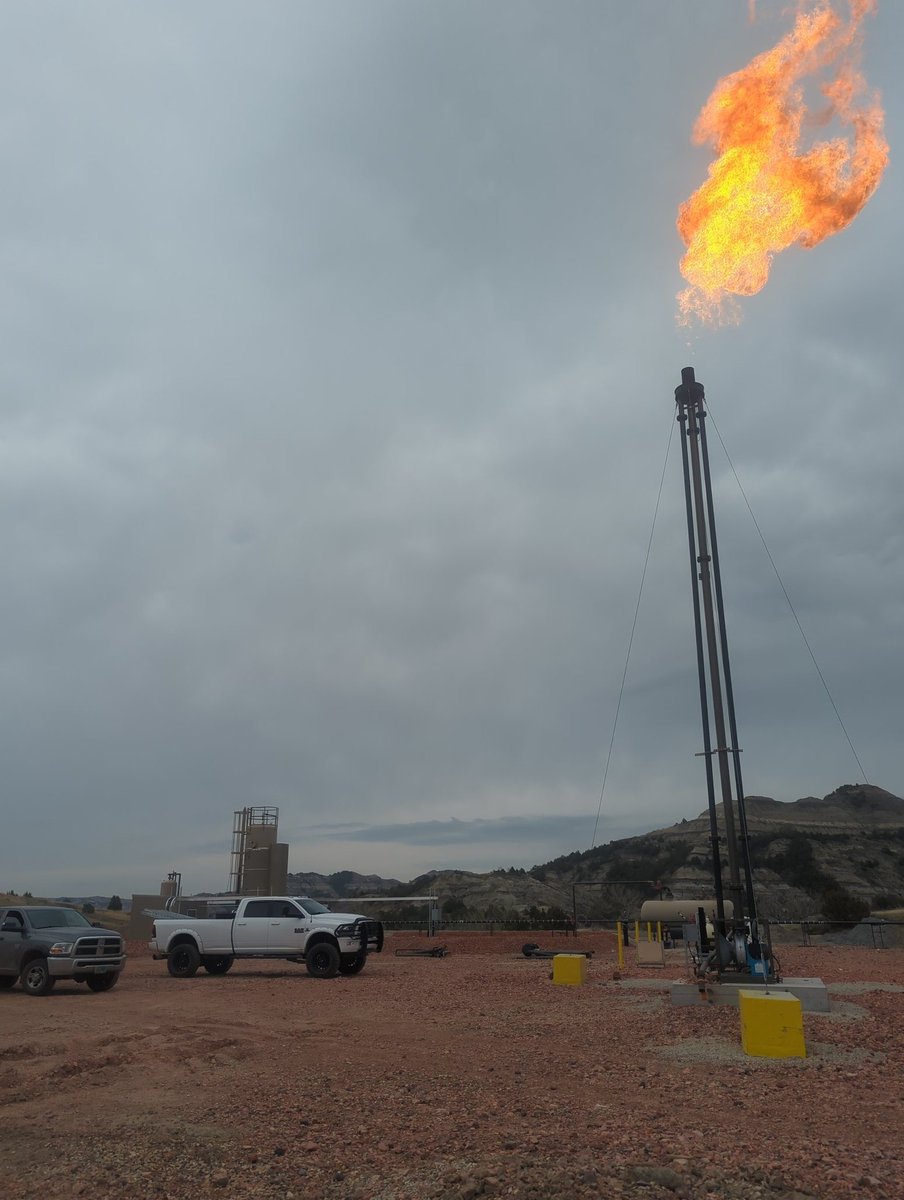 HODLTarantula(HT)🏴☠️Sovereign Maximalist tweet media