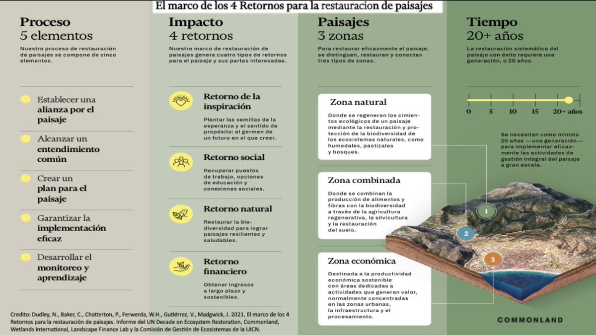 WillemFerwerda's tweet photo. In Madrid today I spoke at the first meeting with 7 large landscapes initiatives, organized by our long term landscapes partners @Alvelal and Fundación Aland, with the aim to roll out the #4returns in Spain and Portugal. An amazing dedicated group #generationrestoration #ecology https://t.co/9kGqpiJuz0