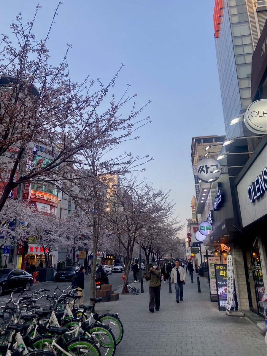 WVU Education Abroad tweet media