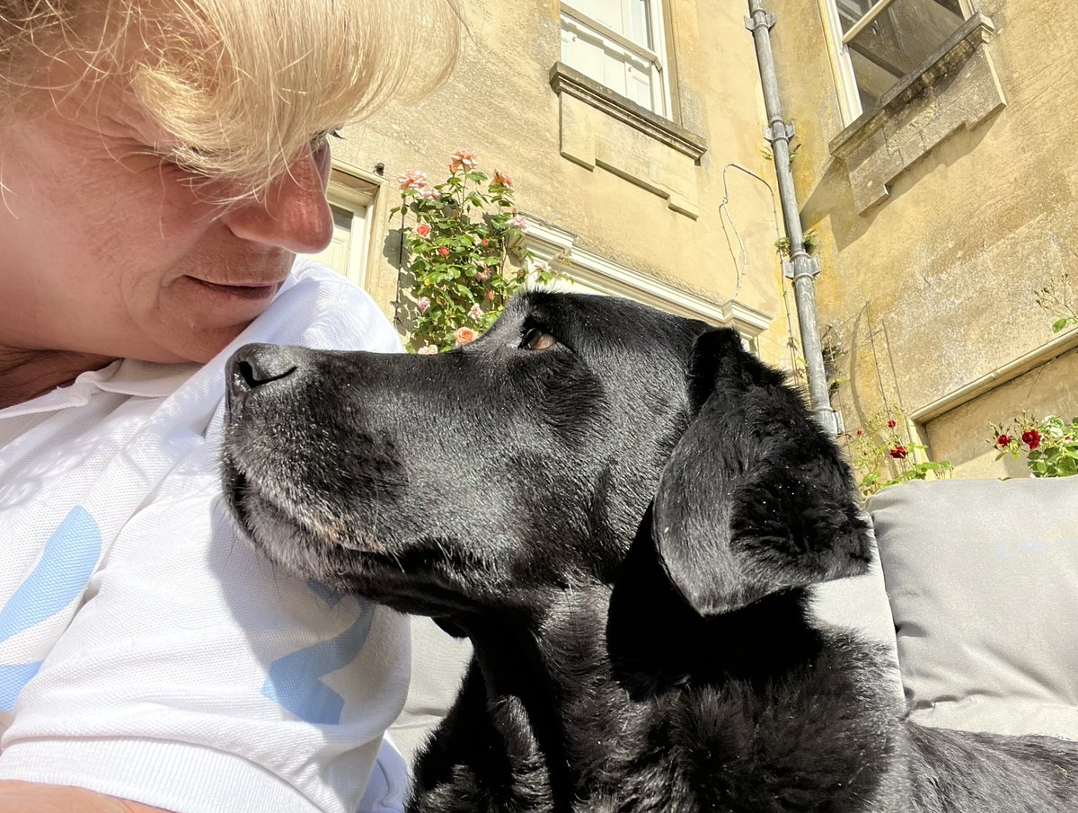 Countess Bathurst on Twitter "What a beautiful afternoon. Having just