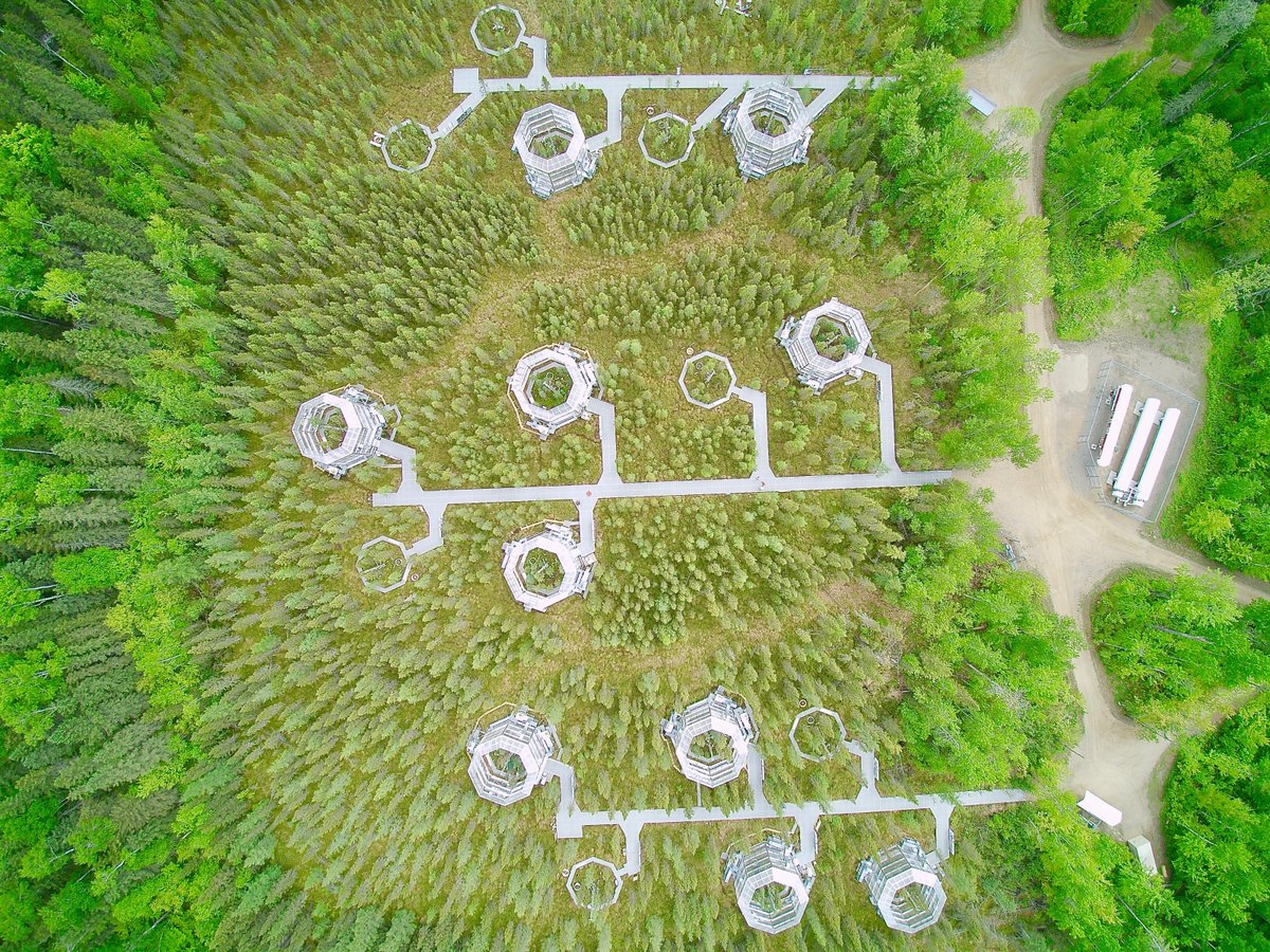 ORNLBio_Env's tweet image. It’s #WorldPeatlandsDay! In Minnesota, @ORNL scientists have been studying #peatlands at the @doescience SPRUCE project, where experimental chambers are giving scientists a peak at a warmer future and what it means for these #carbon-rich ecosystems. mnspruce.ornl.gov