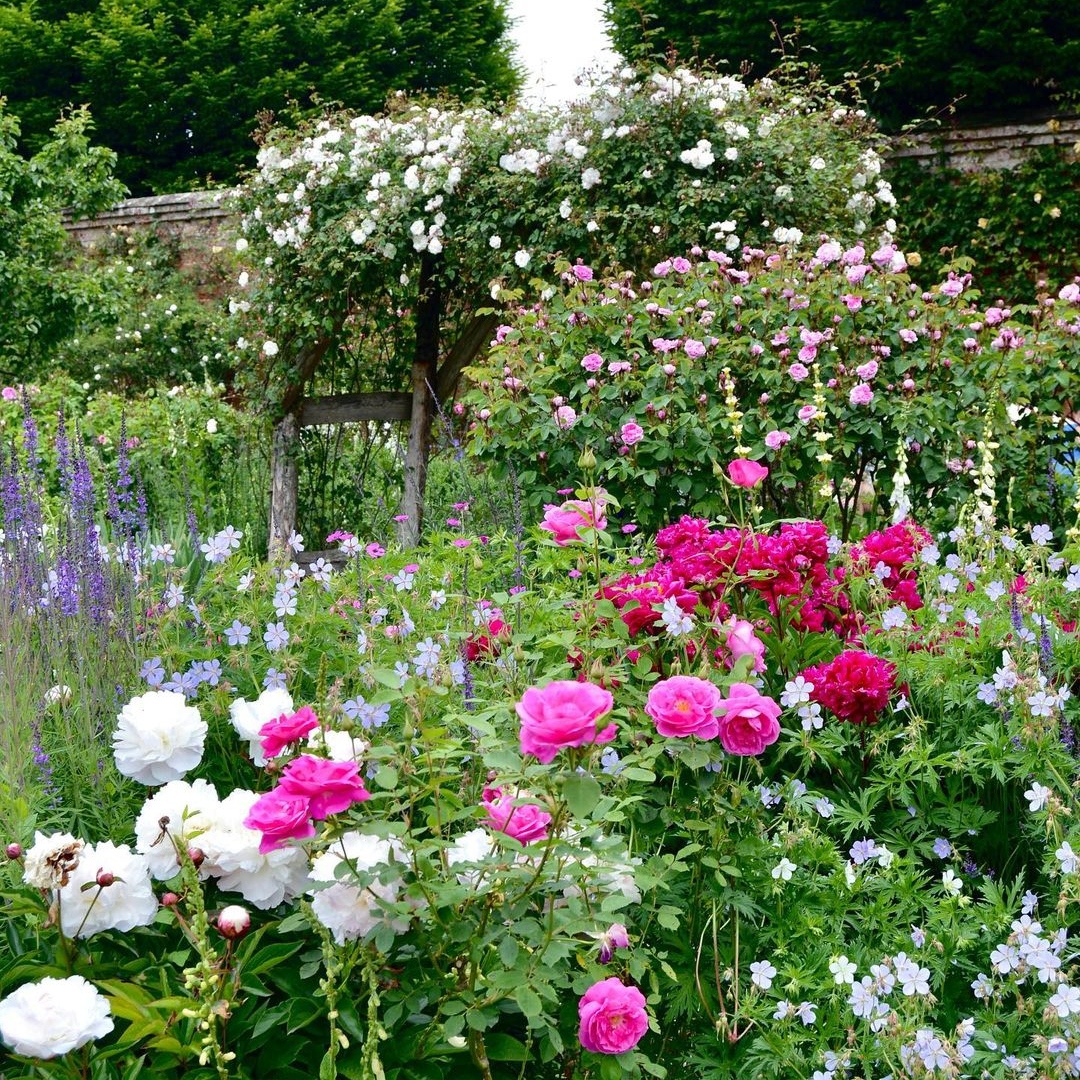 The Great British Garden Festival tweet media