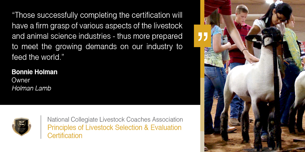 Paige Jones & Russell Kujawa, ag teachers at @StaffordMSD, had 28 more students earn certifications from @BenzSchoolTAMU, @DucksUnlimited, @ExpressHouston & #NCLCA this week. Proctored on the @iCEVonline platform. Congratulations! #HireCertified