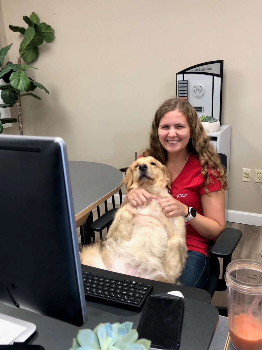 StateFarmJean's tweet image. When your human forces you to work on a Friday. 🐾🐶#GoodNeighbor #officedog #TGIF #sfagent
