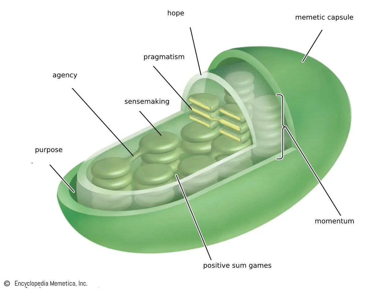 WHATS IN THOSE GREENPILLS?

i'm so glad u asked anon.