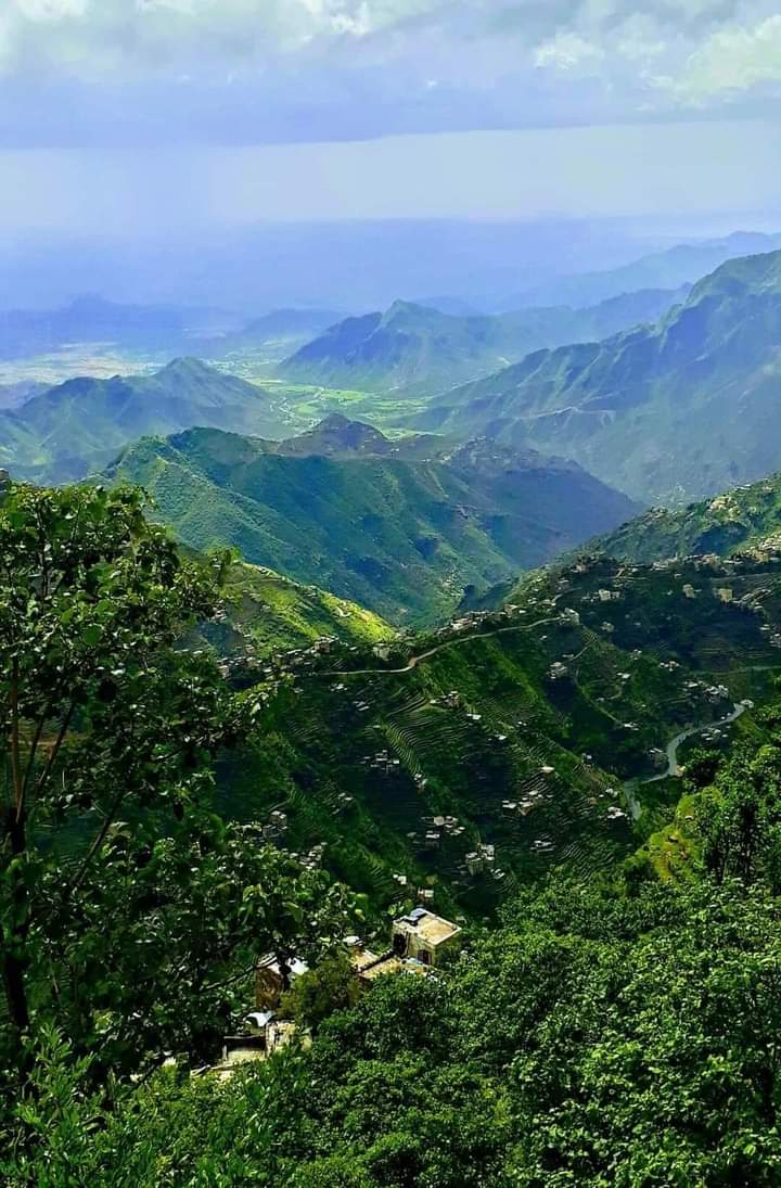 هنا ريمة بلاد الدلال والجمال 
عشيقة الروح ومنبت الحب والخيال 
موطن الأباء والأجداد والأجيال