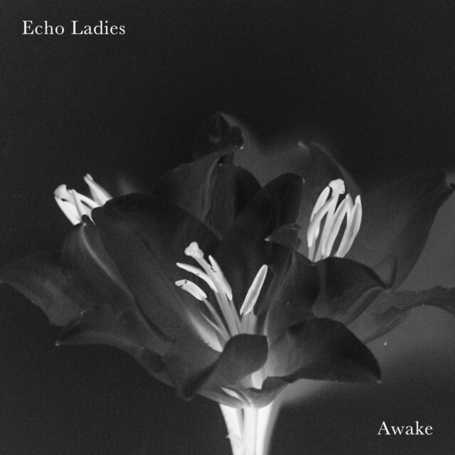 Just Added #PostPunk #Coldwave #Darkwave #Shoegaze #PostRock #NewMusicPlaylist on #Spotify Awake' by Echo Ladies ift.tt/NRCGEqv #indie30