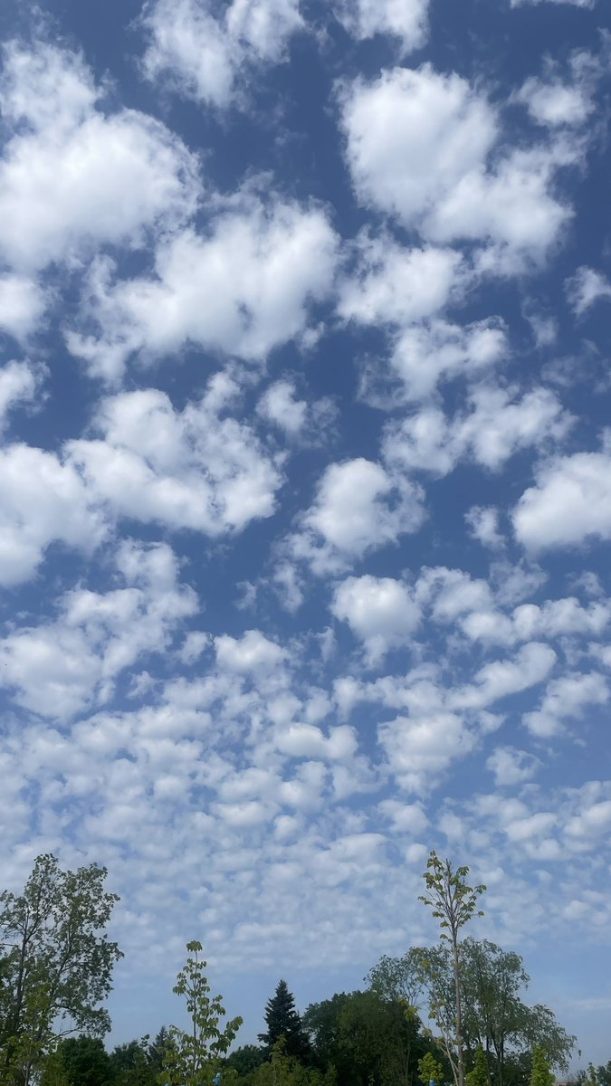 Diane Najm tweet media