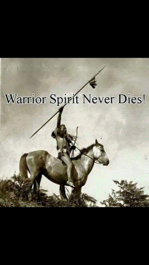 Indigenoususa's tweet photo. https://t.co/w8JVPo3ZIU