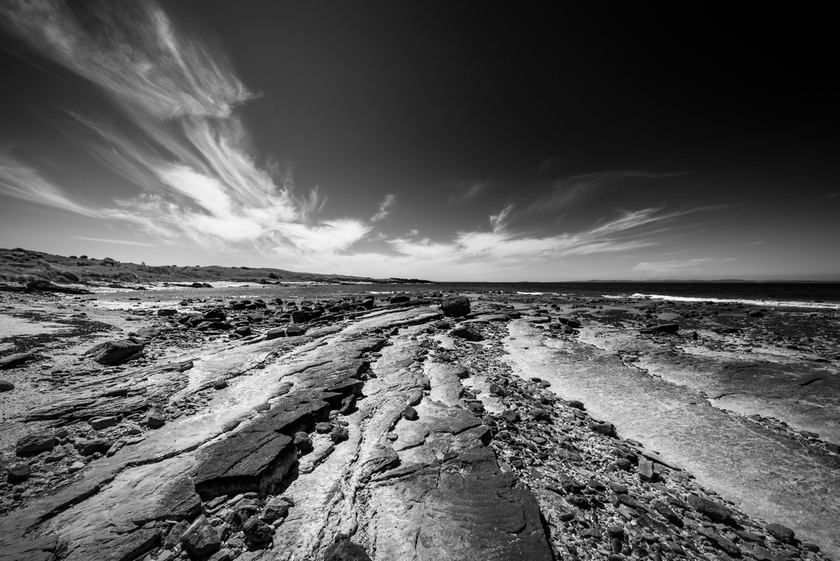 Aberlady Bay, East Lothian #Aberlady #blackandwhitephoto #blackandwhitephotography #eastlothian