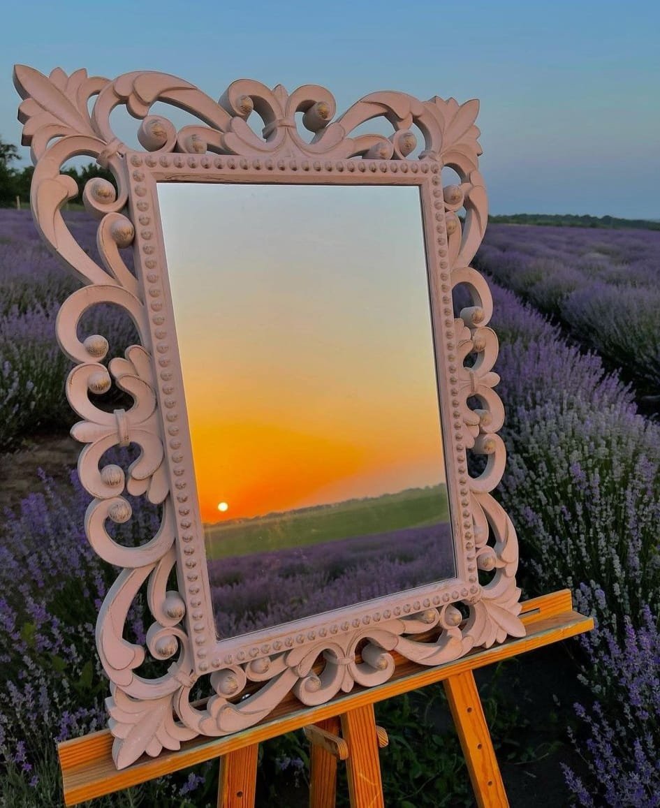 sunset reflections in the field of lavenders.