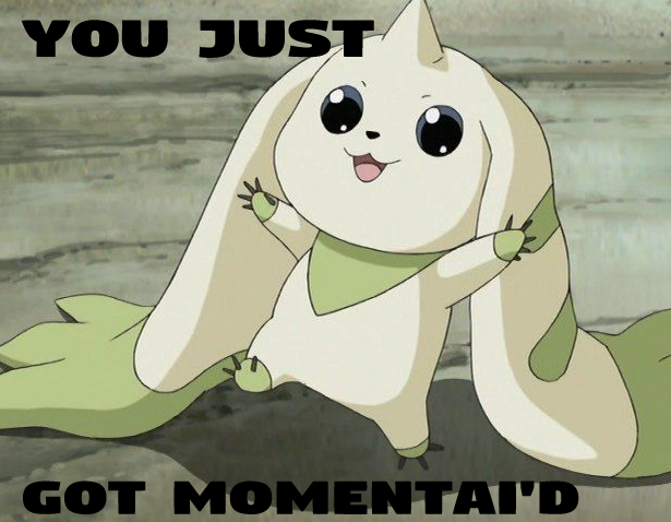 The Tally ‼️ tweet media