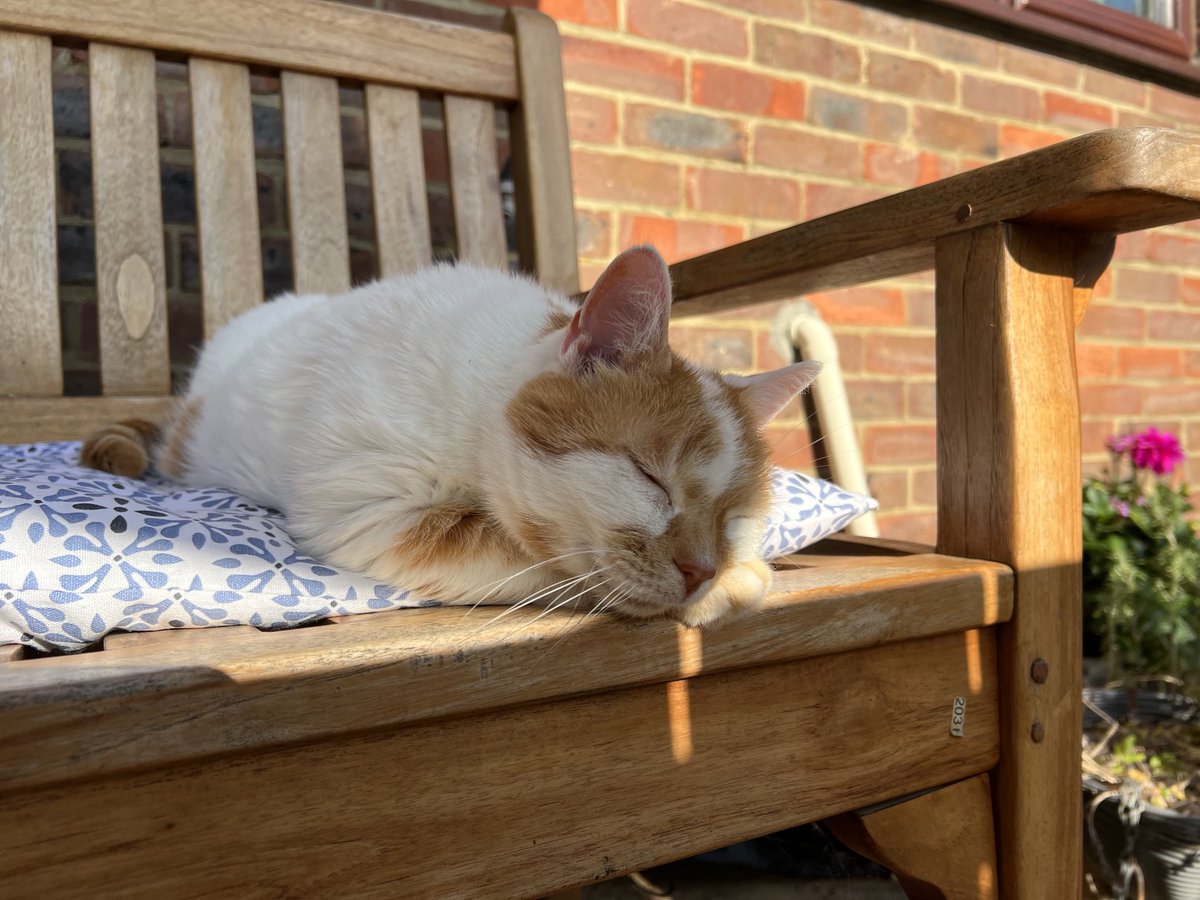 Sleepy Friday evening on the terrace😎