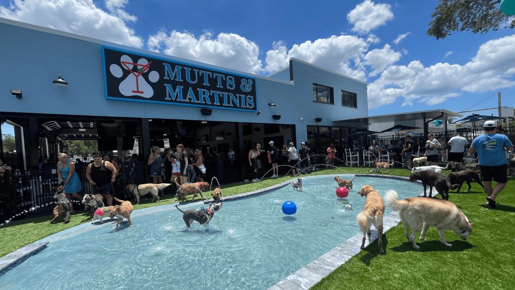 Mutts & Martinis now open, Florida’s first dog waterpark and full liquor bar 🐾  >> l8r.it/Z86H