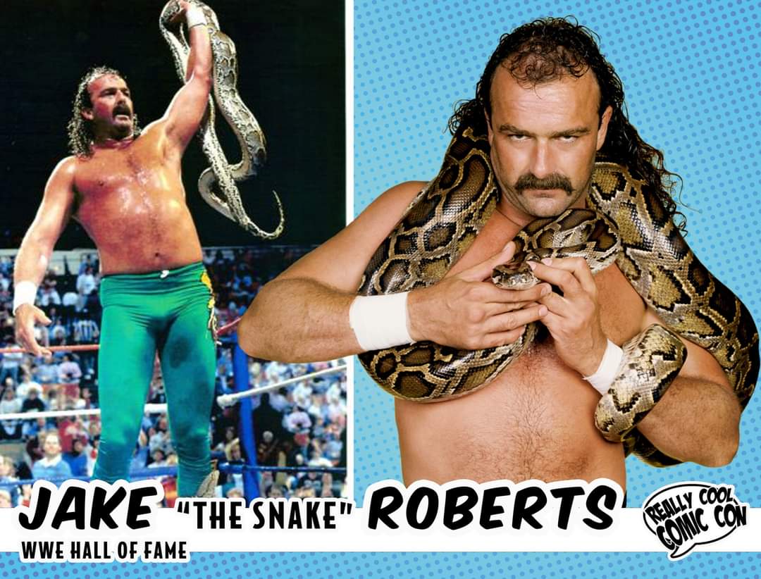 You've most recently seen him on @AEW but, now you can meet @JakeSnakeDDT at @ReallyCoolCon during #Summerslam weekend!

We will also be attending, so if you see us on the convention floor, do not hesitate to stop us for a chat!!
#WWEHallofFame #WWE #WCWWrestling #AEW