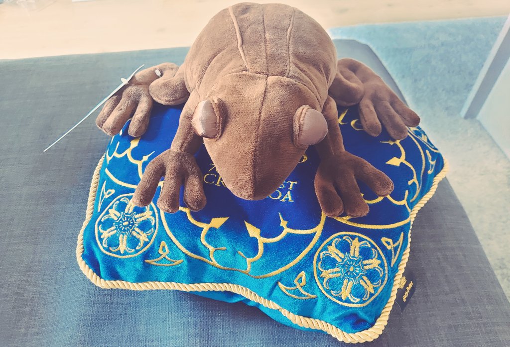 Early birthday present from my husband 💜😍 #HogwartsLegacy #chocolate #Frog #plush