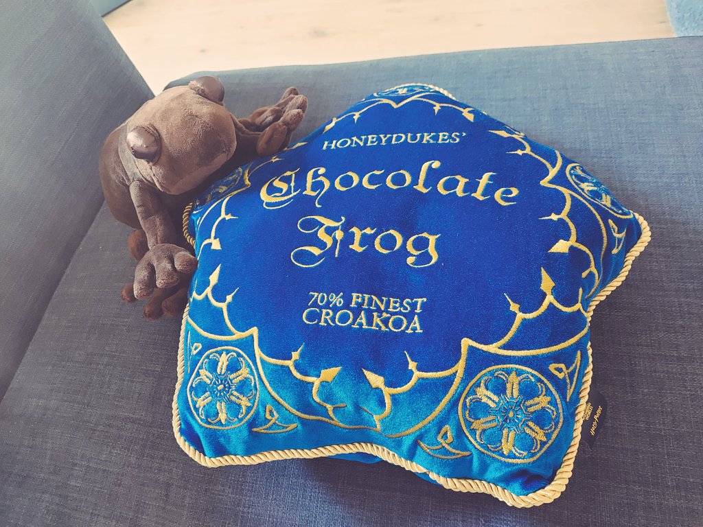 Atmostis's tweet image. Early birthday present from my husband 💜😍 #HogwartsLegacy #chocolate #Frog #plush